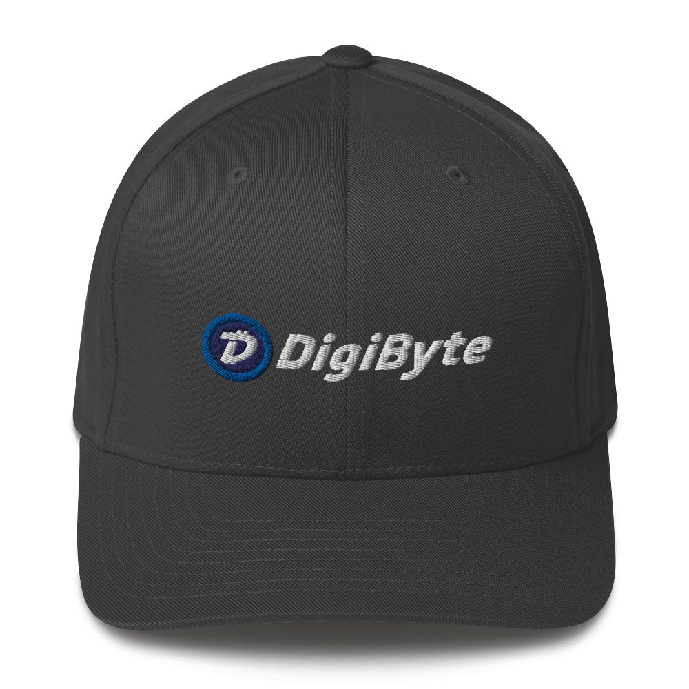 DigiByte Classic Flexfit - Dark Colors