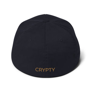Litecoin Flexfit Hat